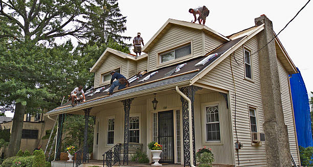 Best Local Roofing Companies  in Colfax, IA